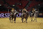Quadrille - 00837
